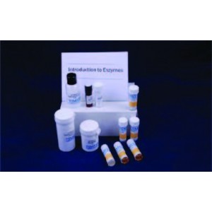 Introduction To Enzymes Kit